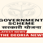 अब धान-मक्का की फसलों पर मिलेगा 98,400 रुपये तक बीमा! 31 जुलाई तक कराएं आवेदन — जानें पूरी प्रक्रिया