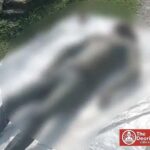 कुशीनगर में नहर किनारे मिला युवक का शव, पहचान नहीं हो सकी, पोस्टमार्टम के लिए भेजा गया