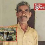 देवरिया: खेत में काम करते समय सांप ने डसा, 65 वर्षीय किसान की मौत