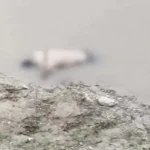 देवरिया गंडक नदी में मिला अज्ञात युवक का शव, पुलिस जांच में जुटी