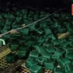 देवरिया: अवैध पटाखा फैक्ट्री का भंडाफोड़, भारी मात्रा में विस्फोटक सामग्री और सरकारी स्कूलों की पुस्तकें बरामद