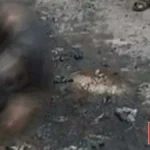 लखनऊ: सपा कार्यालय के बाहर युवक ने खुद को लगाई आग, सपा अध्यक्ष अखिलेश यादव बोले- “बेहद दुखद और दुर्भाग्यपूर्ण”