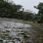 देवरिया में 120 मिमी बारिश से जनजीवन अस्त-व्यस्त, सड़क-जाम और बिजली आपूर्ति ठप