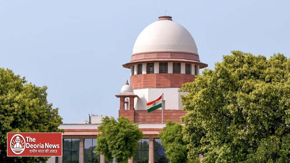 60% women in judicial services