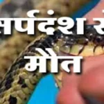 देवरिया में सर्पदंश की दो घटनाएं: एक बालक की मौत, दूसरा जिला अस्पताल में भर्ती
