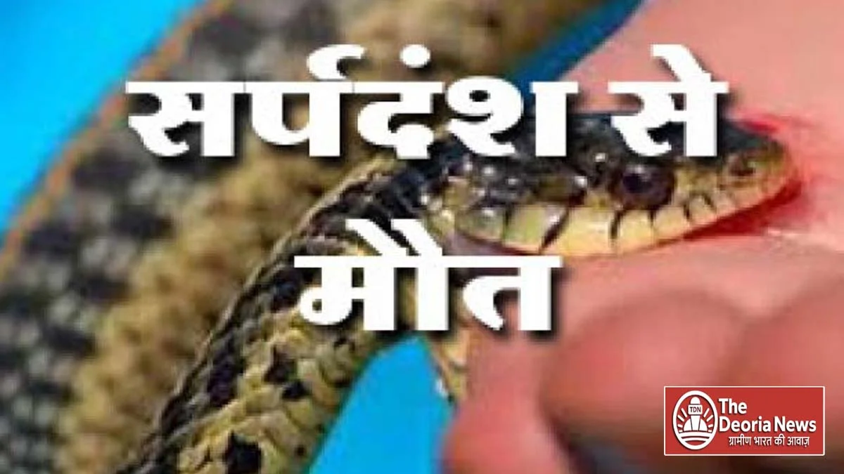 Two incidents of snakebite in Deoria