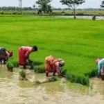 पीएम किसान सम्मान निधि की 21वीं किस्त पर सस्पेंस खत्म होने को तैयार? तमिलनाडु कृषि विभाग के निर्देशों से बढ़ी उम्मीद