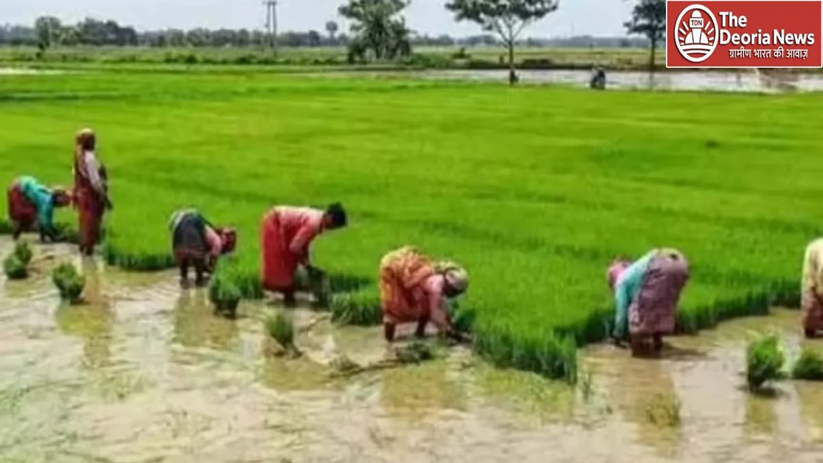 PM Kisan Samman Nidhi