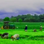 किसान दिवस 2025: अन्नदाता के सम्मान का दिन, जानिए किसानों के लिए चलाई जा रही प्रमुख सरकारी योजनाएं