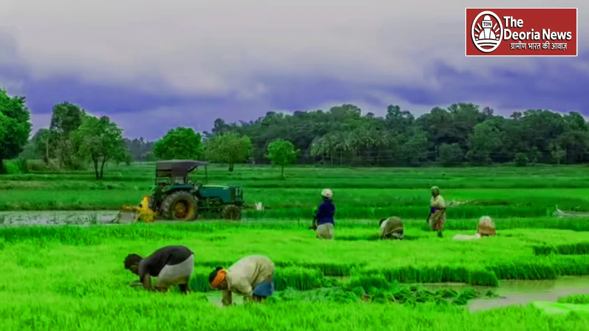 Farmers Day 2025 Honoring Annadata