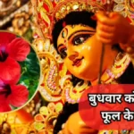 बुधवार को गुड़हल फूल के उपाय: गणेश और दुर्गा की कृपा से दूर होंगी बाधाएं, खुलेगा सफलता का मार्ग