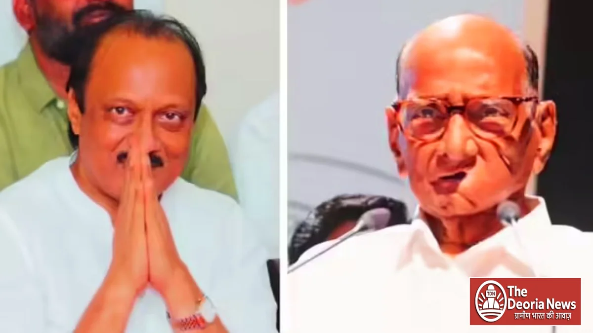 Pune Municipal Corporation Elections