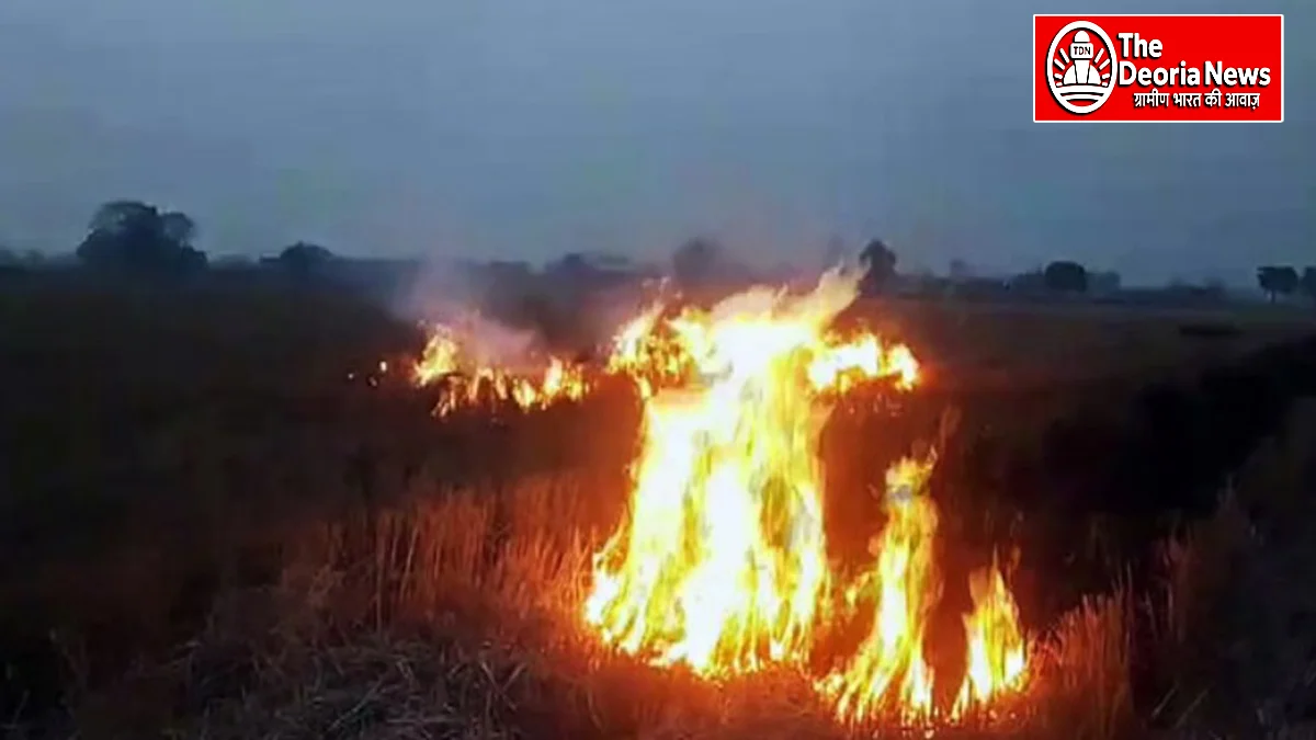 Stubble burning in Punjab-Haryana