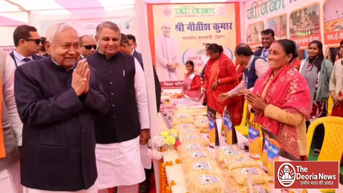 amount of women employment scheme