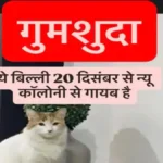 देवरिया में पालतू सफेद बिल्ली लापता, मालिक ने 10 हजार रुपये इनाम की घोषणा की