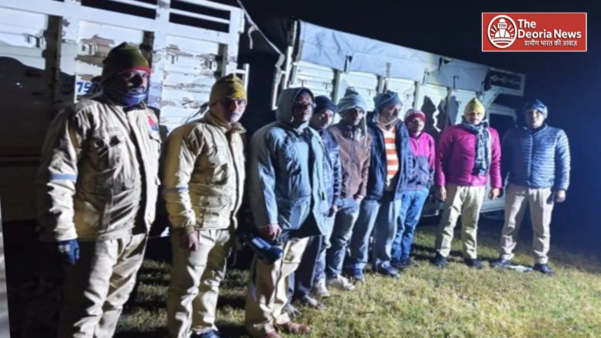 Deoria Bhatni police seized six cows