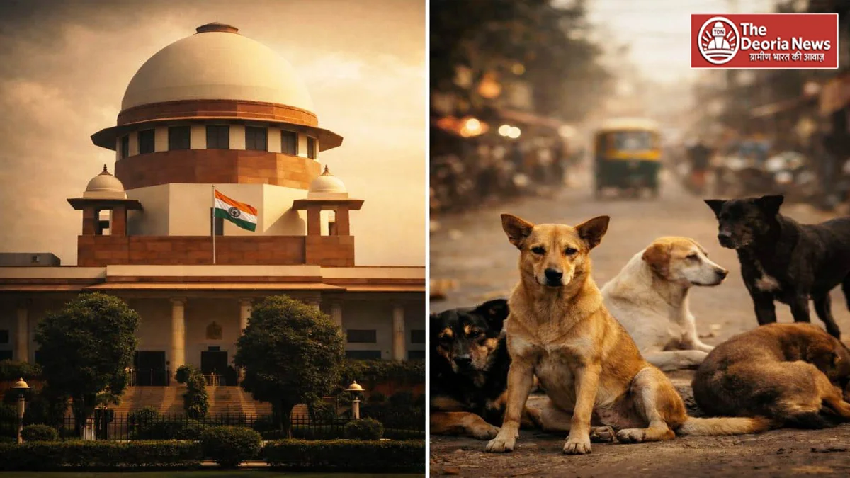 Supreme in case of stray dogs