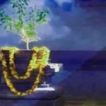 माघ महीने में तुलसी पूजा के नियम: इन 3 गलतियों से बचें, करें ये खास उपाय