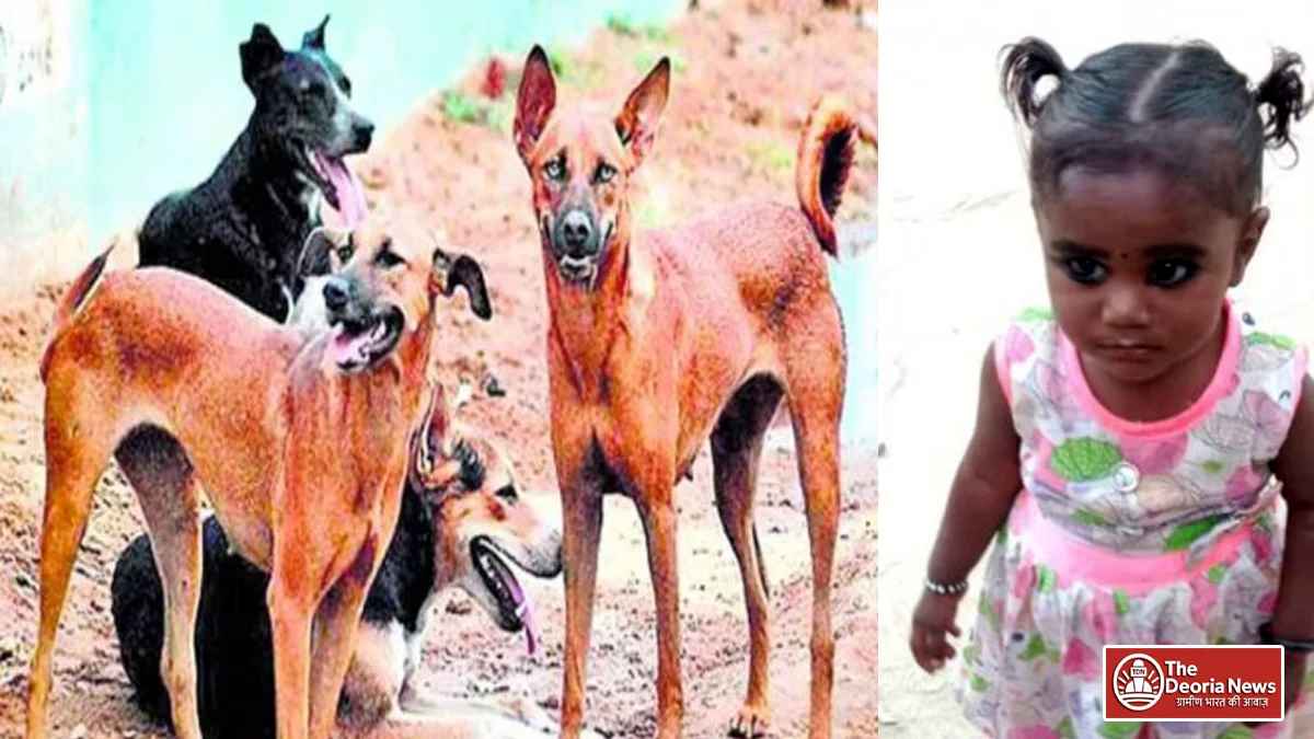 5 due to dog attack in Gonda