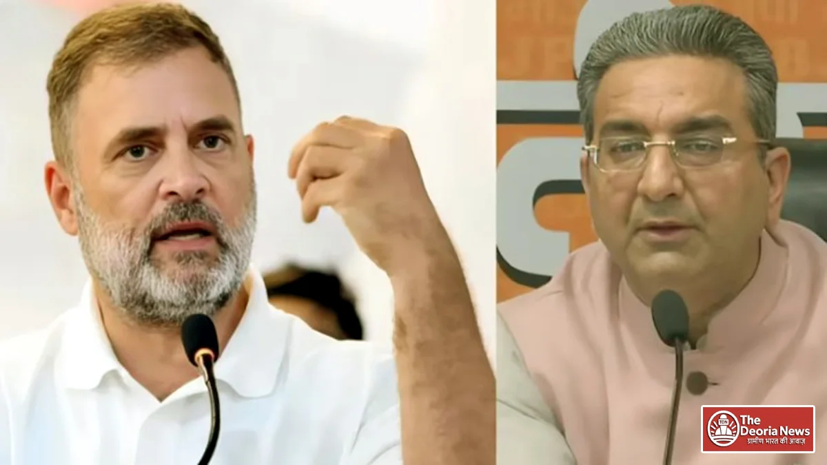 BJP on Rahul Gandhi's statement