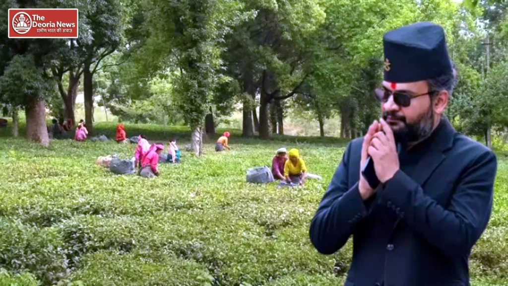 India sets testing rules on Nepalese tea