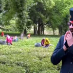 भारत ने नेपाली चाय पर टेस्टिंग नियमों में दी राहत, 19 दिन बाद फिर सामान्य होगा निर्यात