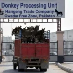 पाकिस्तान ने चीनी कंपनी को दी गधों के मांस निर्यात की मंजूरी, देरी पर विवाद के बाद लिया गया फैसला