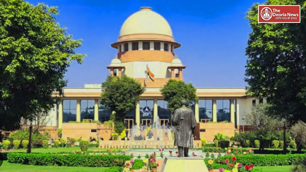 Strict on delay in bail cases