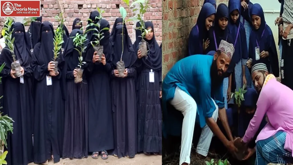 'A tree in the name of mother' campaign